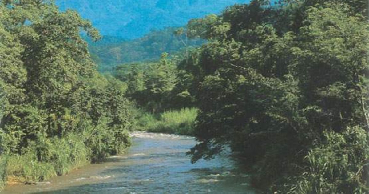 migrantes río Suchiate