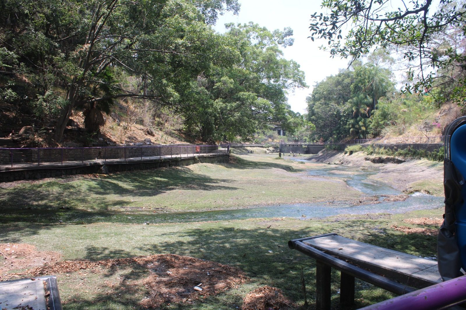 Inicia mantenimiento y limpieza del lago del Parque Barranca Chapultepec