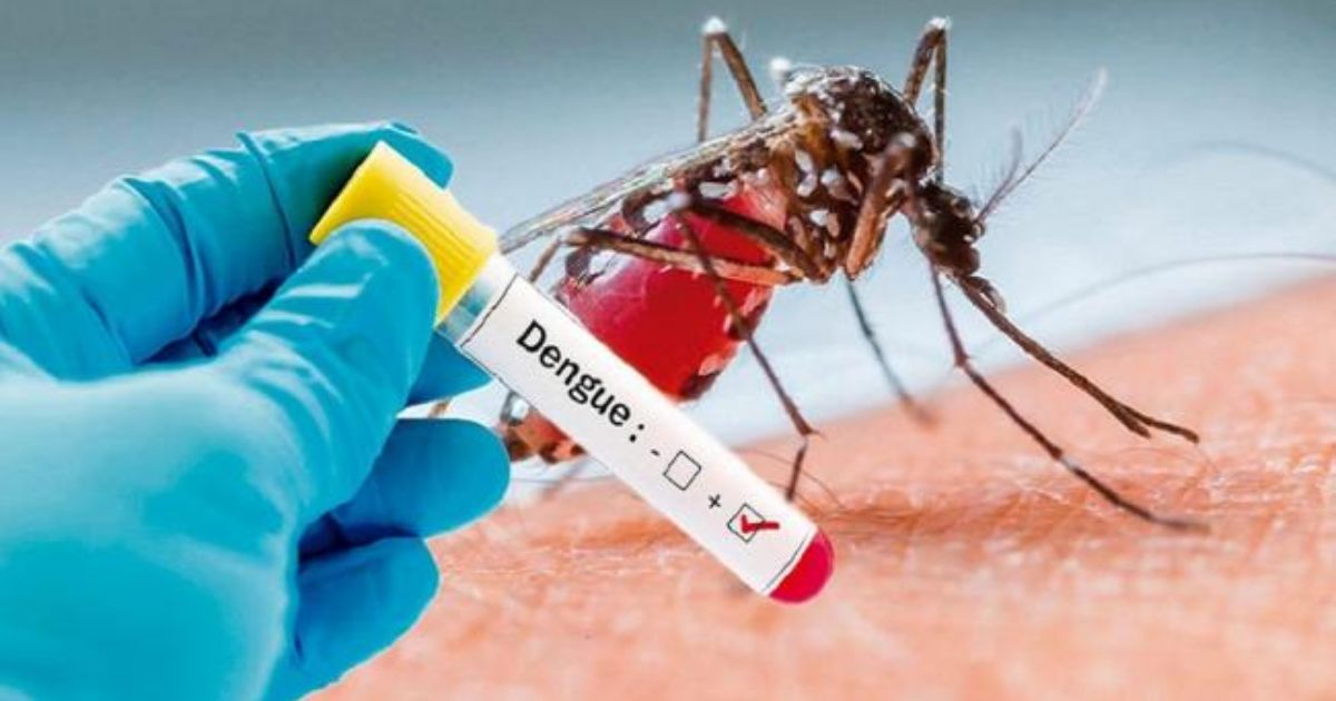 OMS aprueba nueva vacuna japonesa contra el Dengue