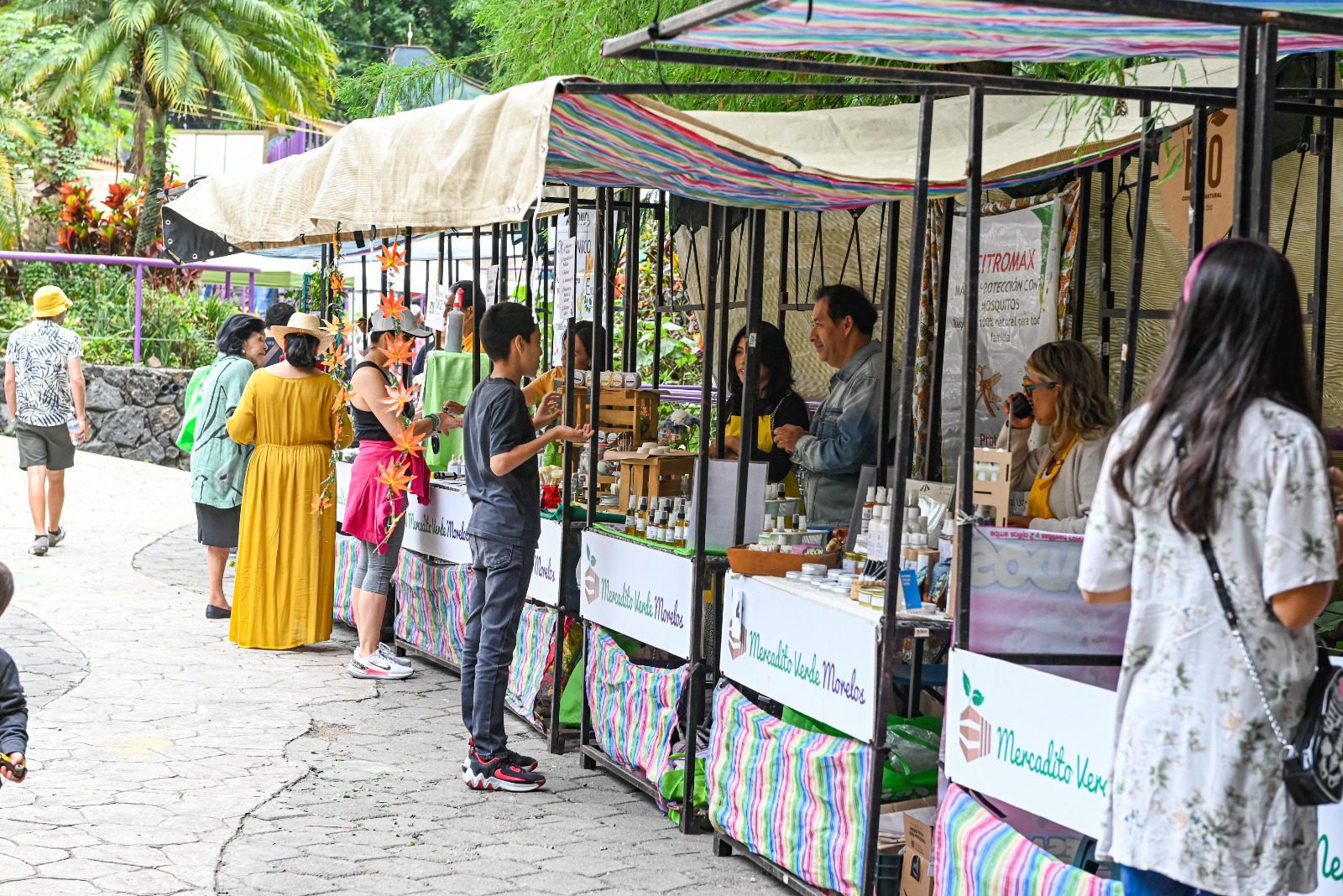 Celebra Mercadito Verde Morelos 11 años de comercio