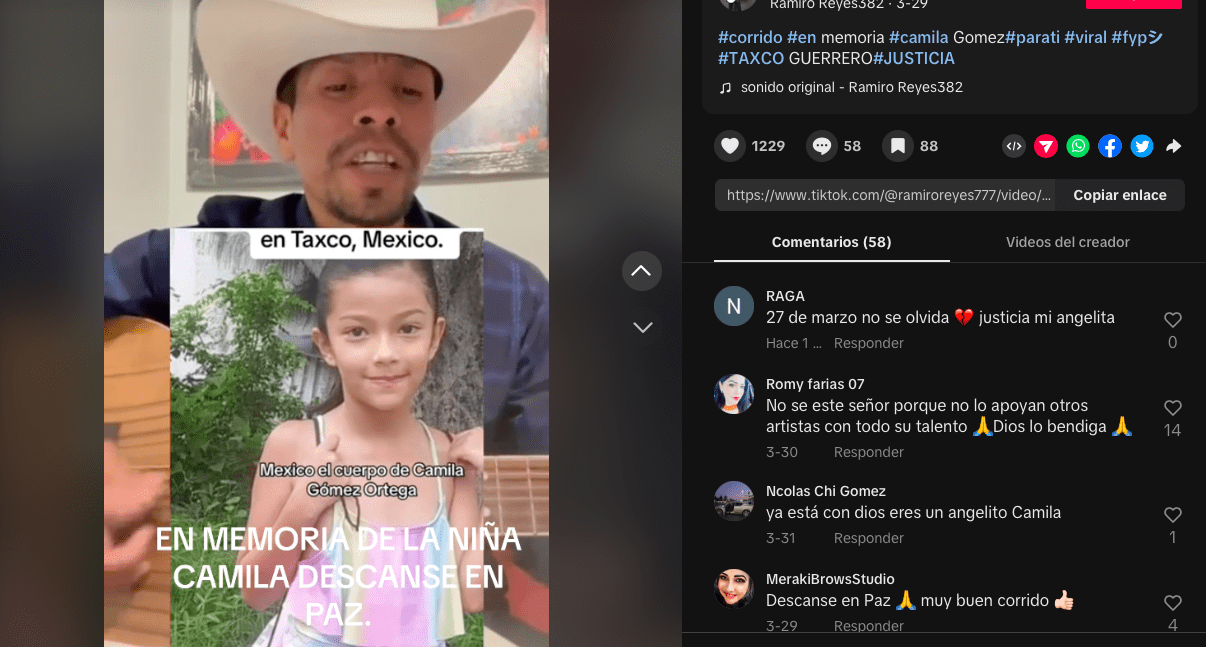 (VIDEO) Crean corrido de “Camila” niña privada de la vida en Taxco