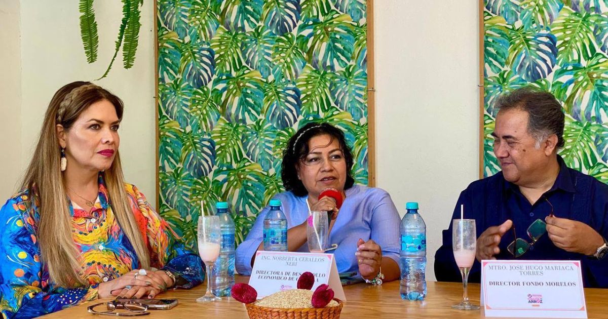 Concluye con éxito “Corazón de Arroz” en Cuautla