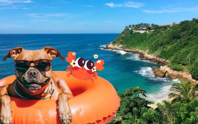 Playas de México limpias para disfrutar en Semana Santa 2025