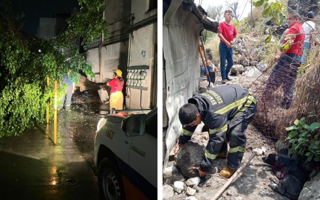 Lluvias del fin de semana: SEPRAC atiende múltiples reportes