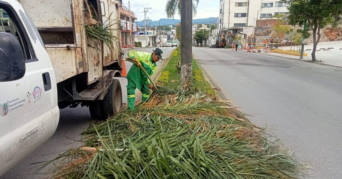 Realizan mantenimiento en avenida Plan de Ayala