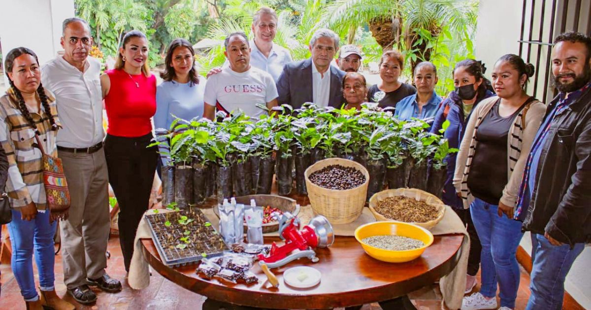 Cuernavaca: Es ciudad cafetalera