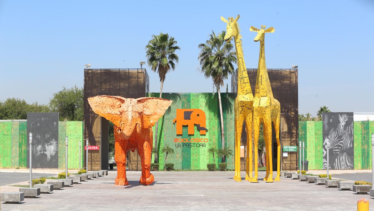 Rescatan a osa de zoológico de Nuevo León