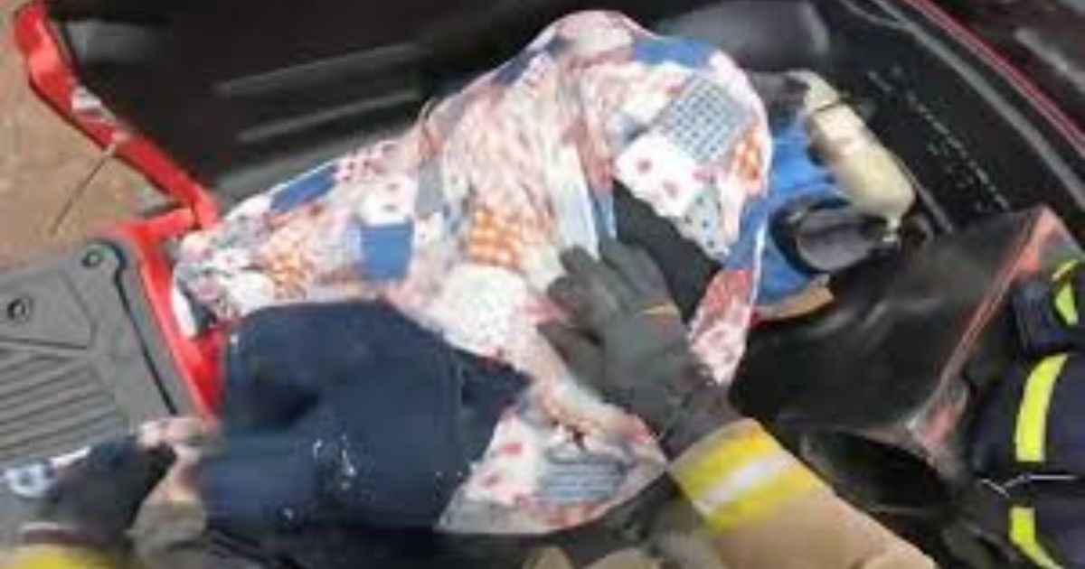 Bomberos rescatan a hombre atacado por abejas en Mazatlán