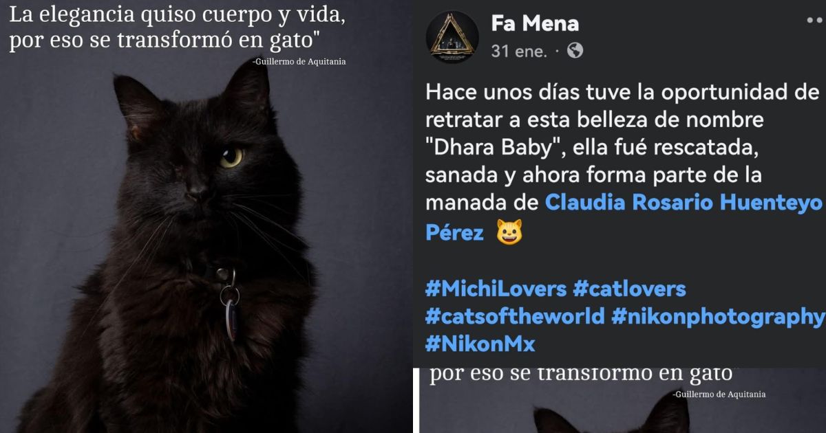 Facebook: Fa Mena