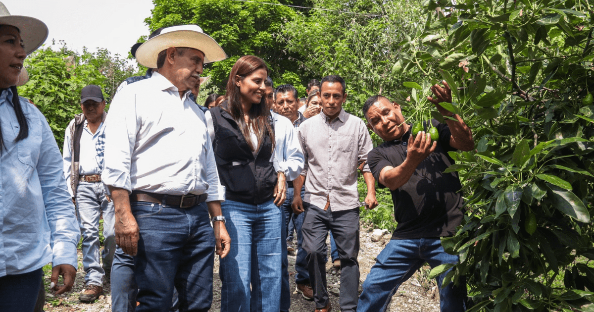 Cuernavaca refuerza al campo y mantiene libre de plagas a Buenavista del Monte