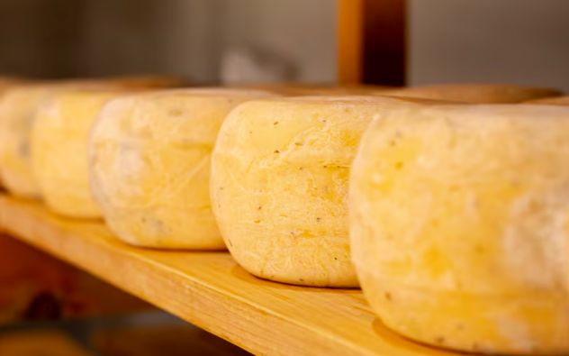Queso Manchego real