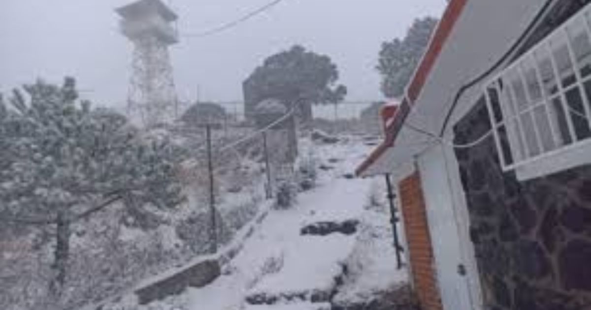 ¿Nieve en México?: Estados donde se prevé temperaturas bajas