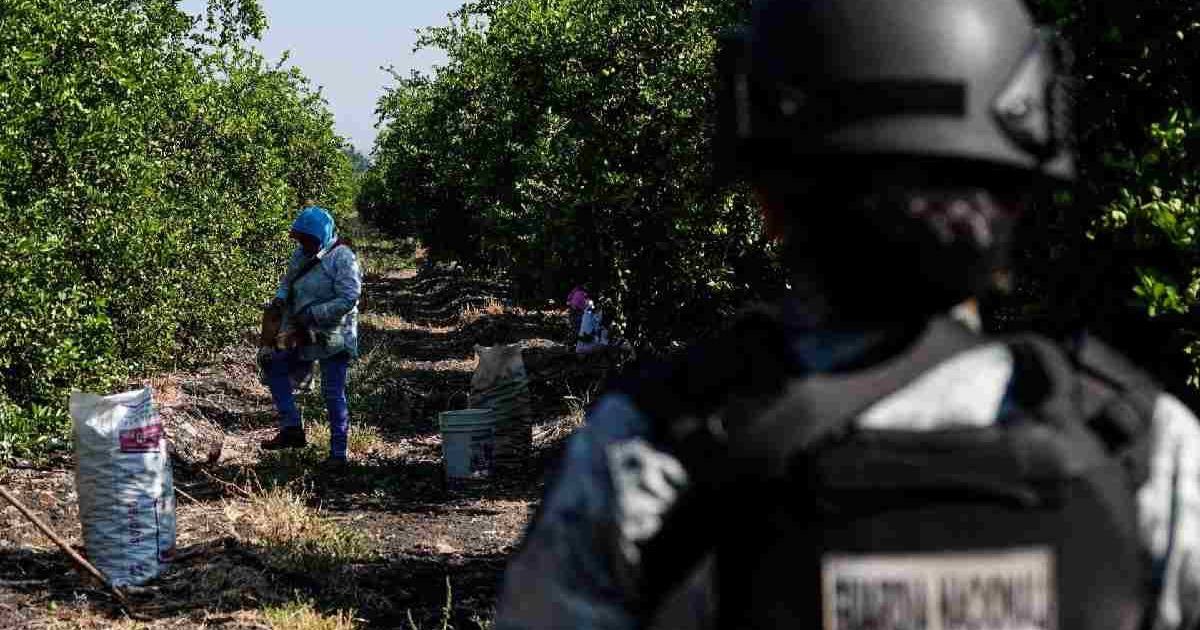 Detienen a presunto agresor del líder limonero Bernardo Bravo