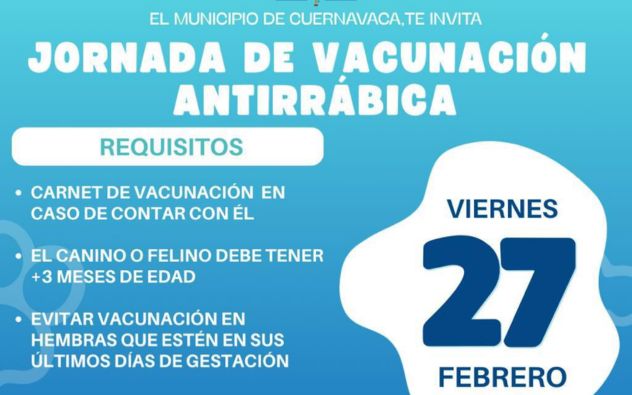 Vacunas gratis perros