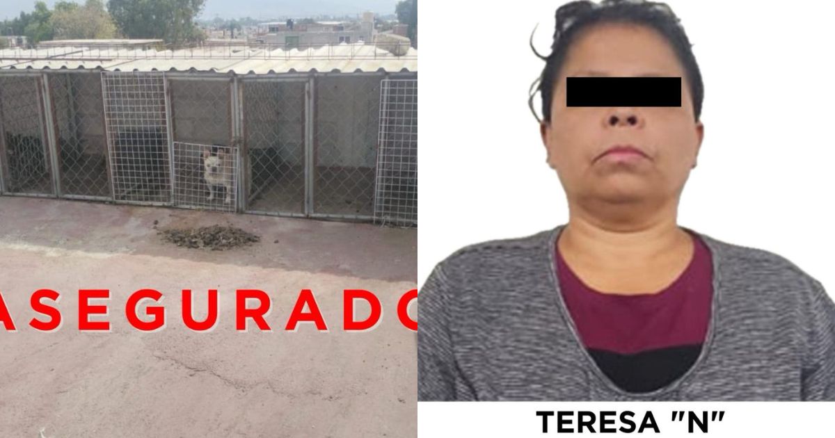 edomex
