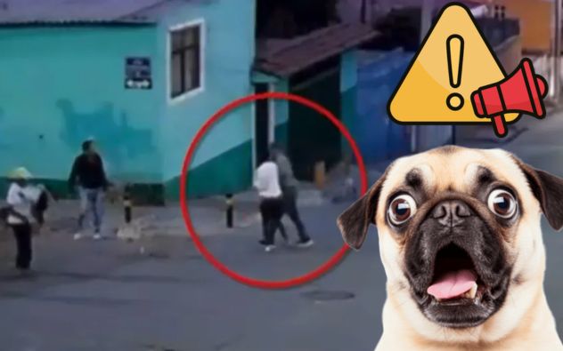 Perro machete Puebla