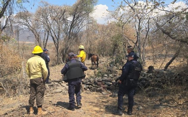 Incendio Tepoztlán 2026
