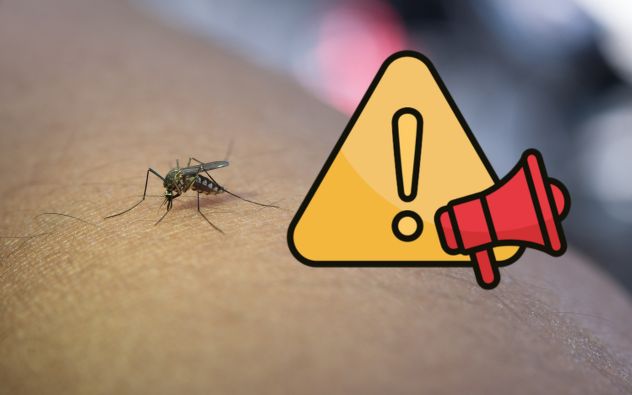 Qué es la fiebre Amarilla?