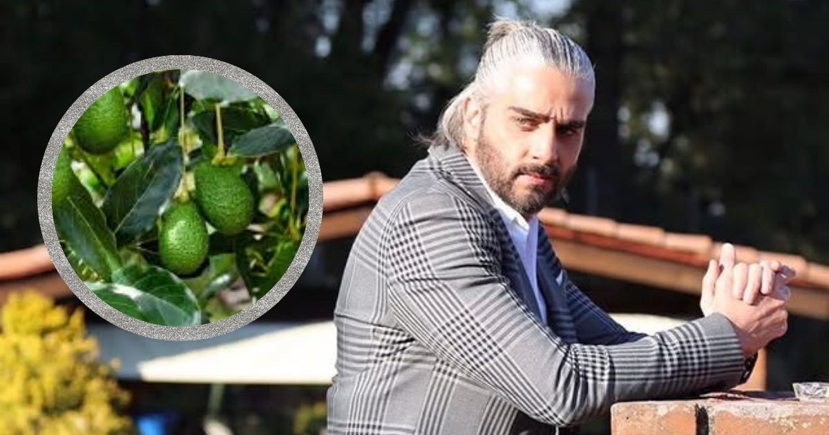 marco mendez aguacates
