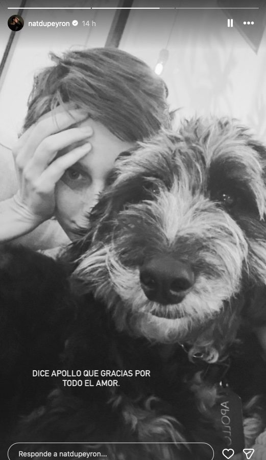 perro Natasha Dupeyrón