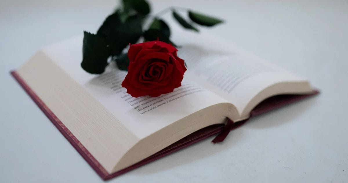 La razón por la que se regala un libro y una rosa el 23 de abril