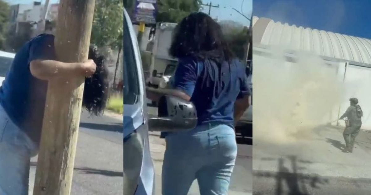 Mujer sufre 200 picaduras de abejas en Culiacán