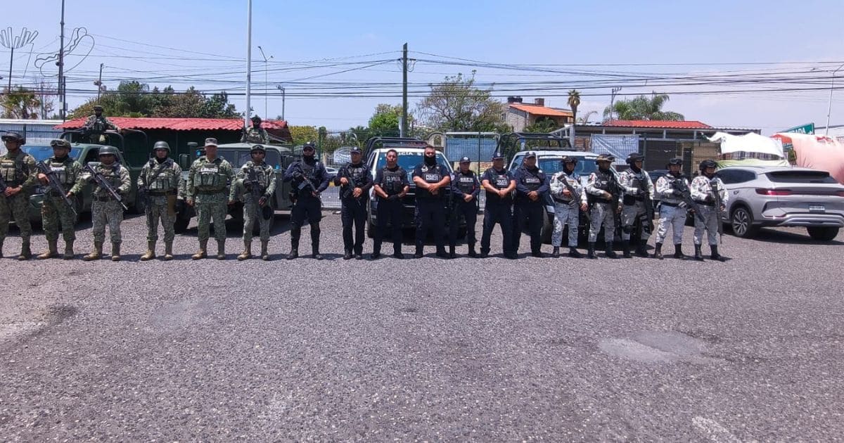seguridad (1) (1)