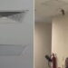 Captan a rata en IMSS de Sonora