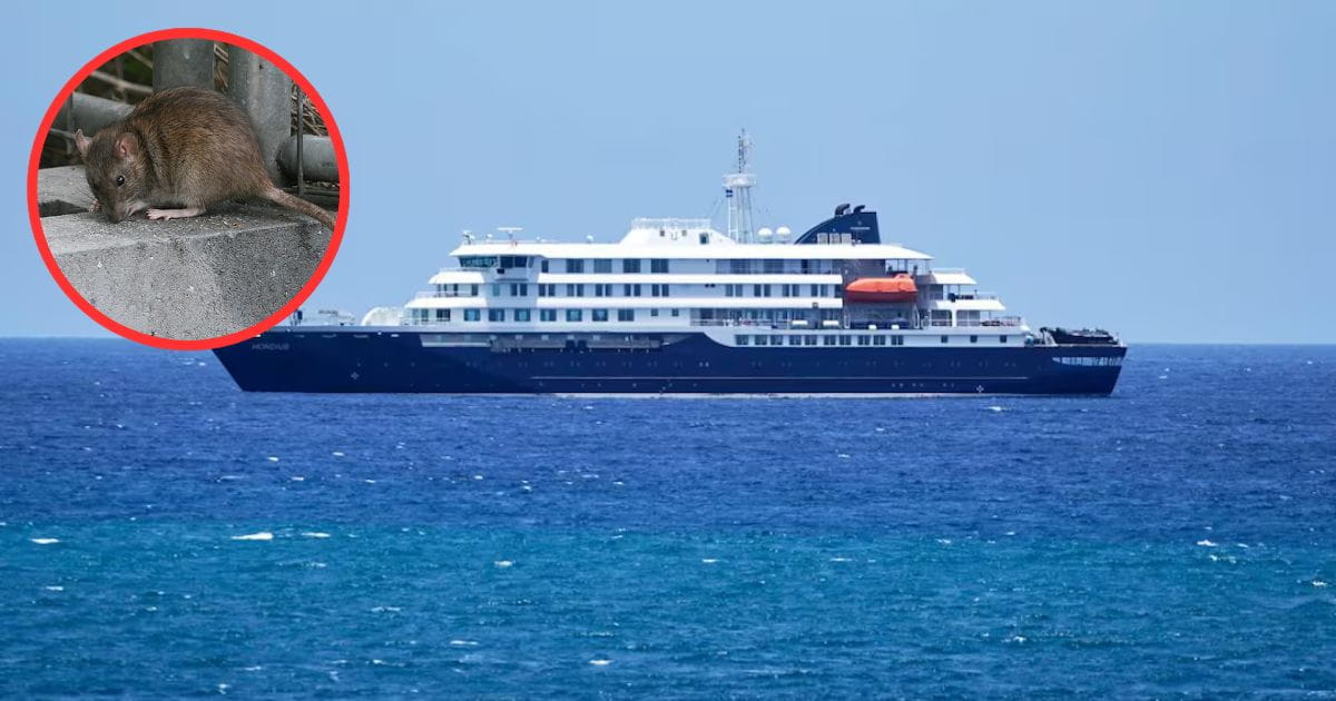 Hantavirus alcanza crucero y fallecen tres personas