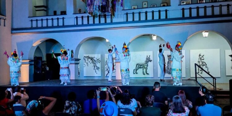 Festival cultural (1)