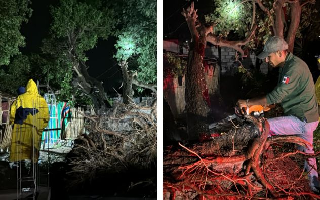 DESTACADA Elementos de Protección Civil retirando las ramas de un árbol caído sobre una vialidad urbana tras una fuerte tormenta