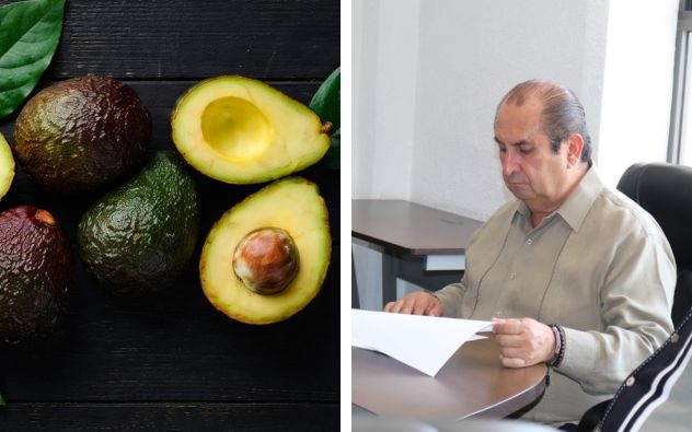 Productores de aguacate de Tetela del Volcán en reunión con autoridades de la SDEyT Morelos.