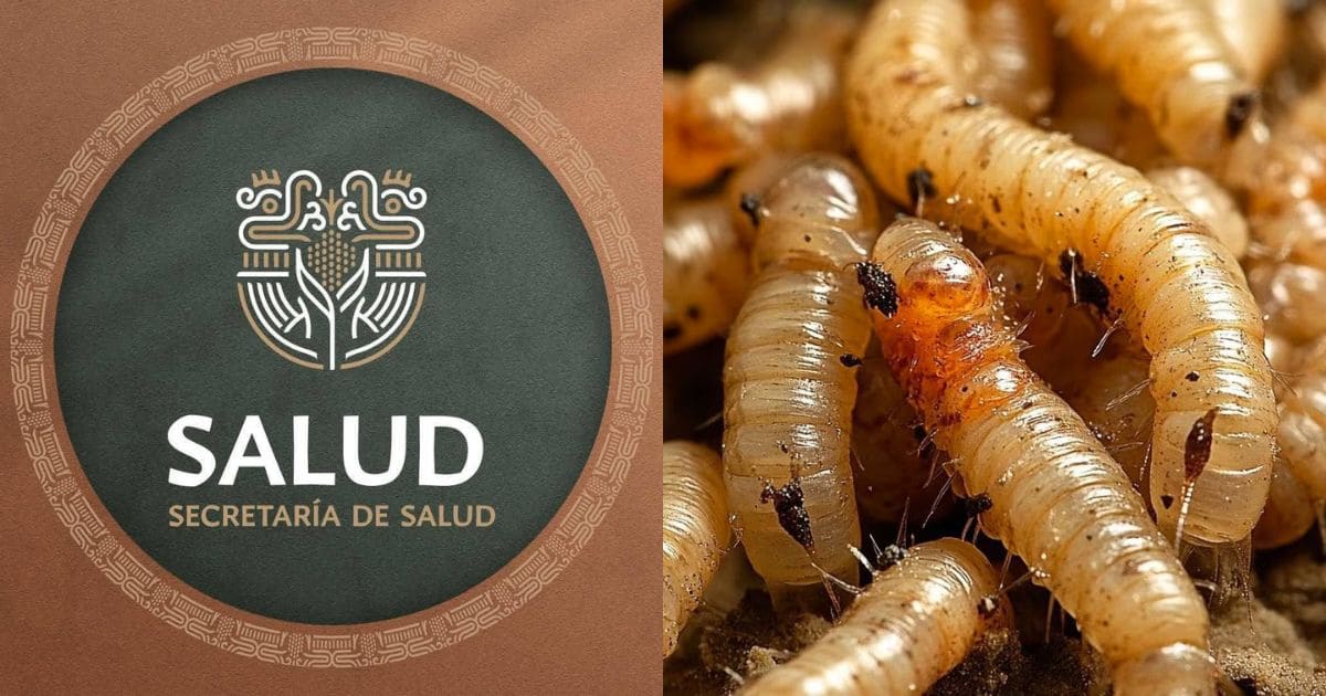 Morelos salud (1)