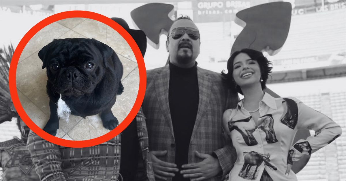 Muerte perro Aguilar críticas