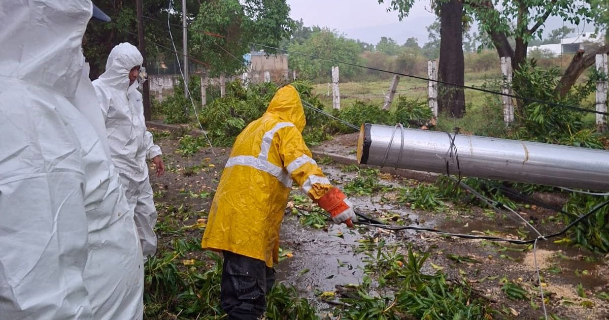 t tormenta y fuertes vientos derriban 10 árboles en Yautepec
