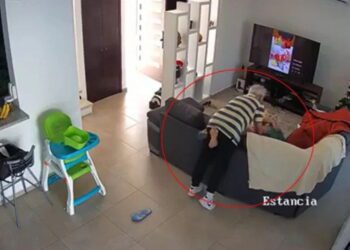Acusan de violencia familiar a Víctor Rodríguez Padilla, titular del INEEL