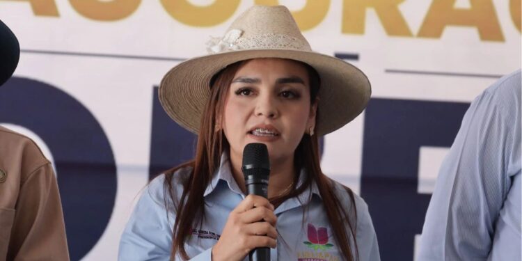 n impugna ante la SCJN reforma electoral de Michoacán sobre candidaturas independientes