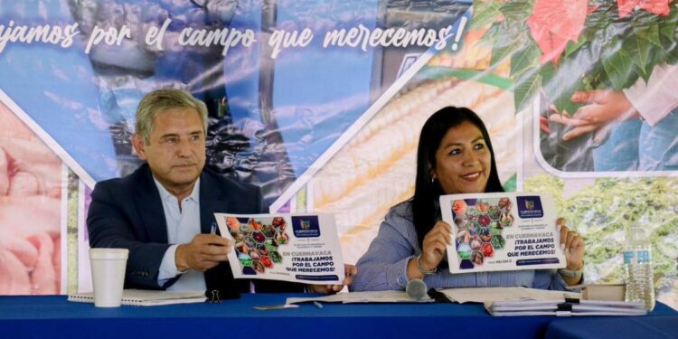 Apoyo al campo (1)
