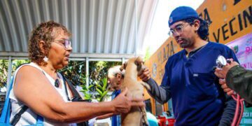 Ayuntamiento de Cuernavaca aplica más de 480 vacunas antirrábicas gratuitas en lo que va del año