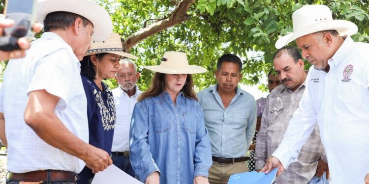 Campo de Morelos (1)