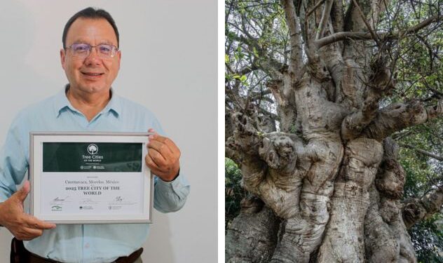 Camellón arbolado y vegetación densa sobre una de las avenidas principales del municipio de Cuernavaca, Morelos