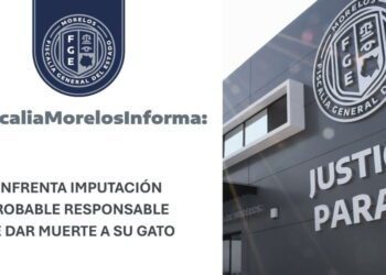 Enfrenta proceso penal sujeto acusado de asfixiar a su gato en Zacatepec
