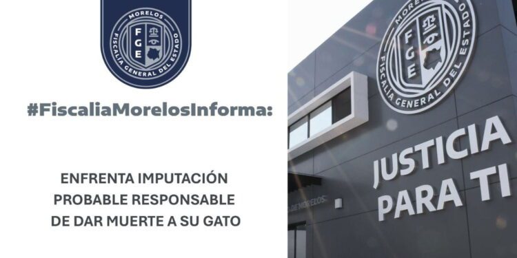 Enfrenta proceso penal sujeto acusado de asfixiar a su gato en Zacatepec