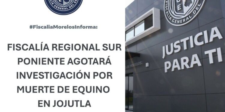 Fiscalía investiga muerte de un caballo atacado por un toro en jaripeo de Jojutla