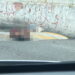 Hombre en silla de ruedas es atacado en Acatlipa