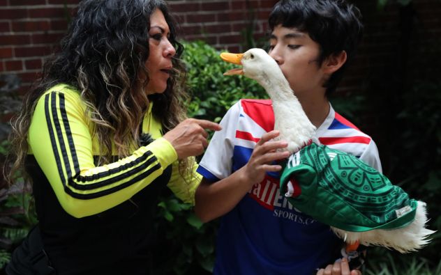 Pato Merlín registro IMPI