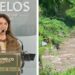 Tramo del cauce del río Cuautla rodeado de vegetación natural en el municipio de Cuautla, Morelos