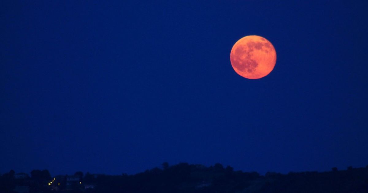 Luna de fresa (1)