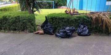 Piden investigar presunto fallecimiento de animales en Parque Acuático de Oaxtepec