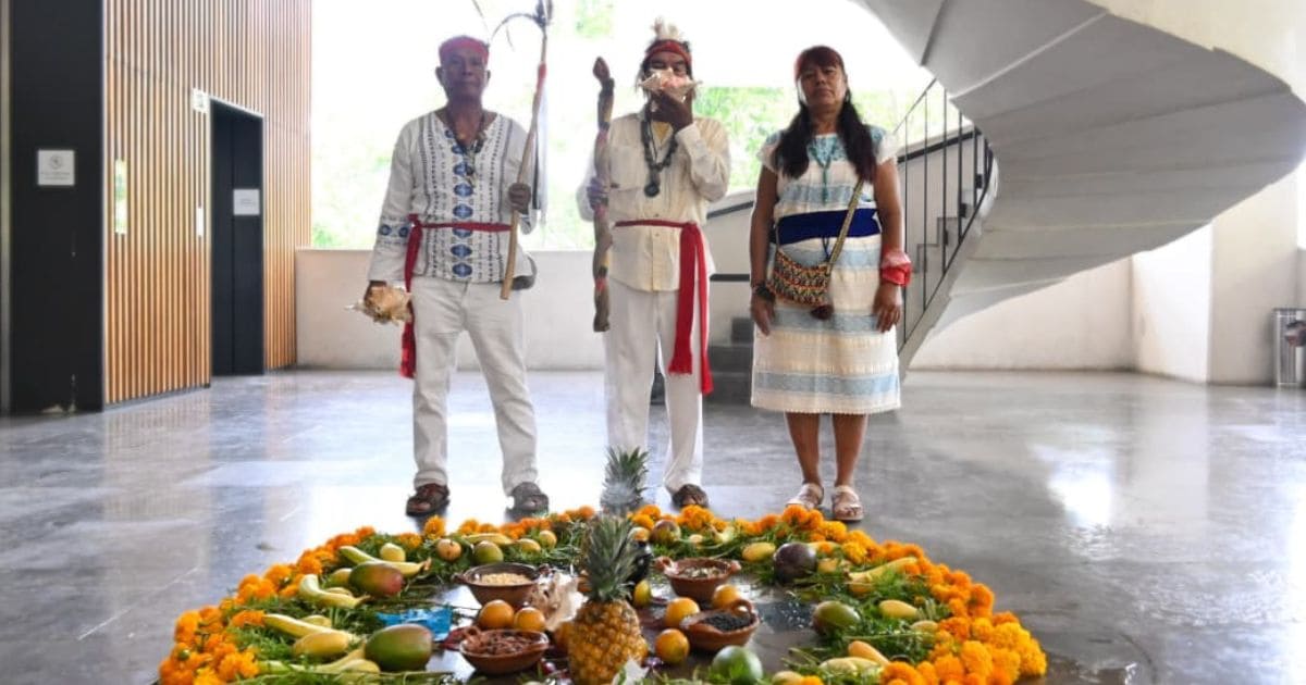Pueblos indígenas (1)